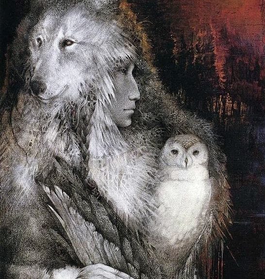Art by Susan Sedoon Boulet