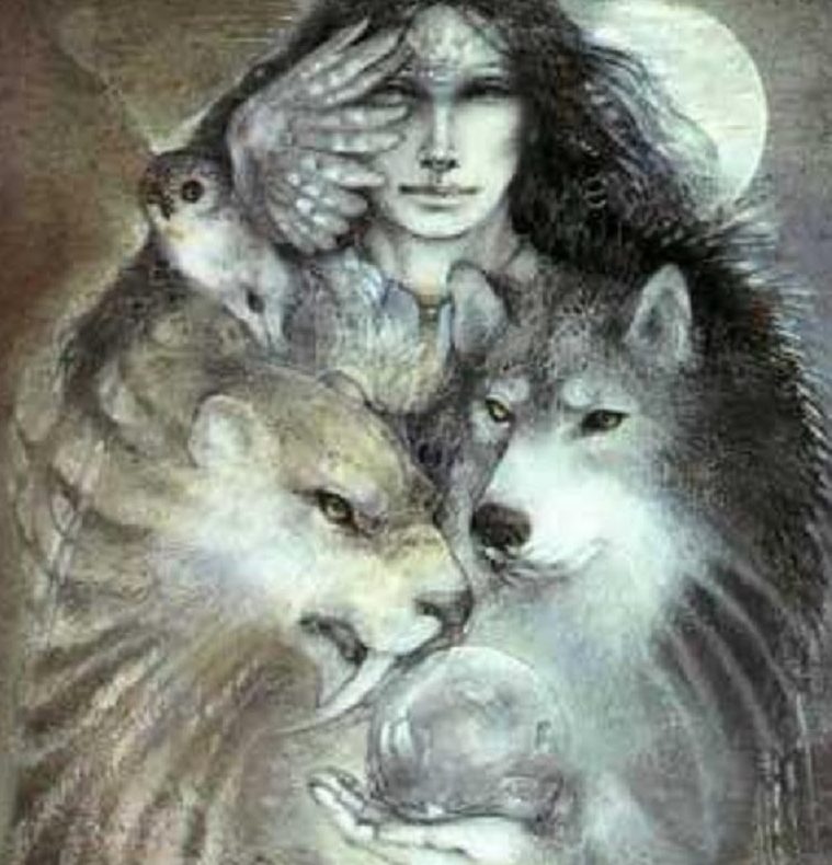 Art by Susan Seddon Boulet